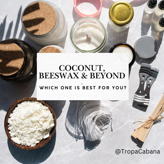 Coconut, Beeswax & Beyond: Which one is best for you?